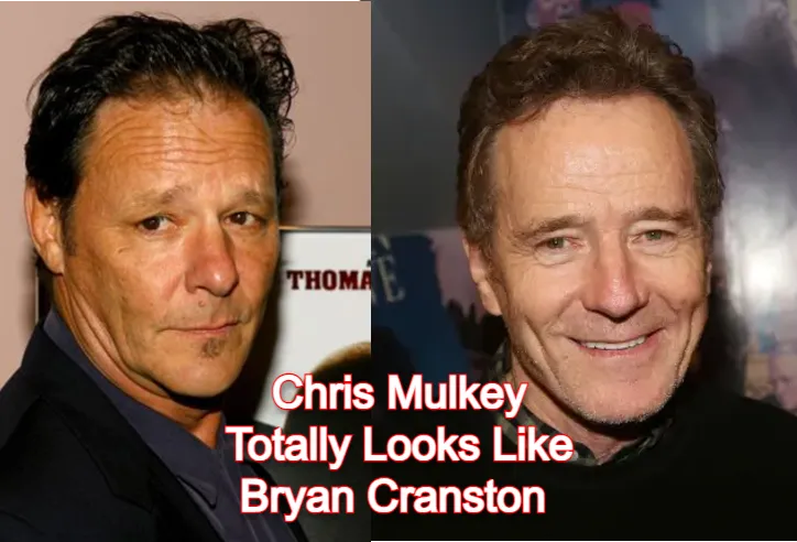 Chris Mulkey looks like Bryan Cranston