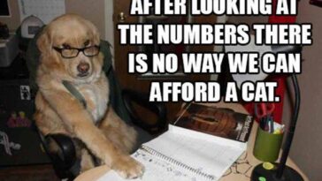Dog accountant looks over the numbers
