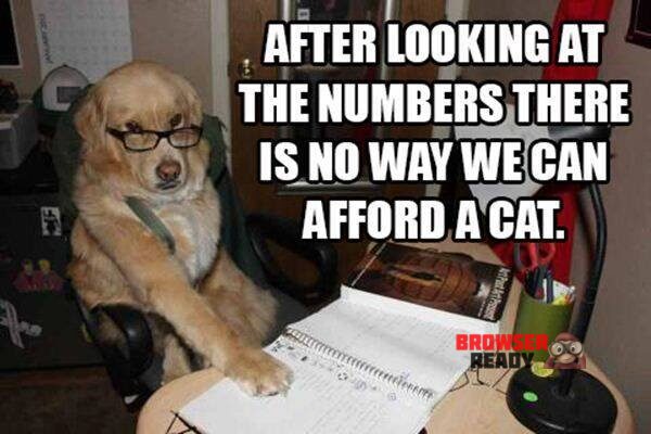 Dog accountant looks over the numbers